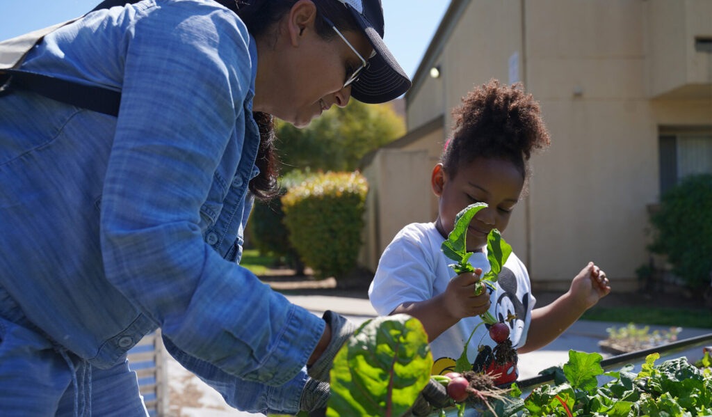 FY25 AR Belden Garden