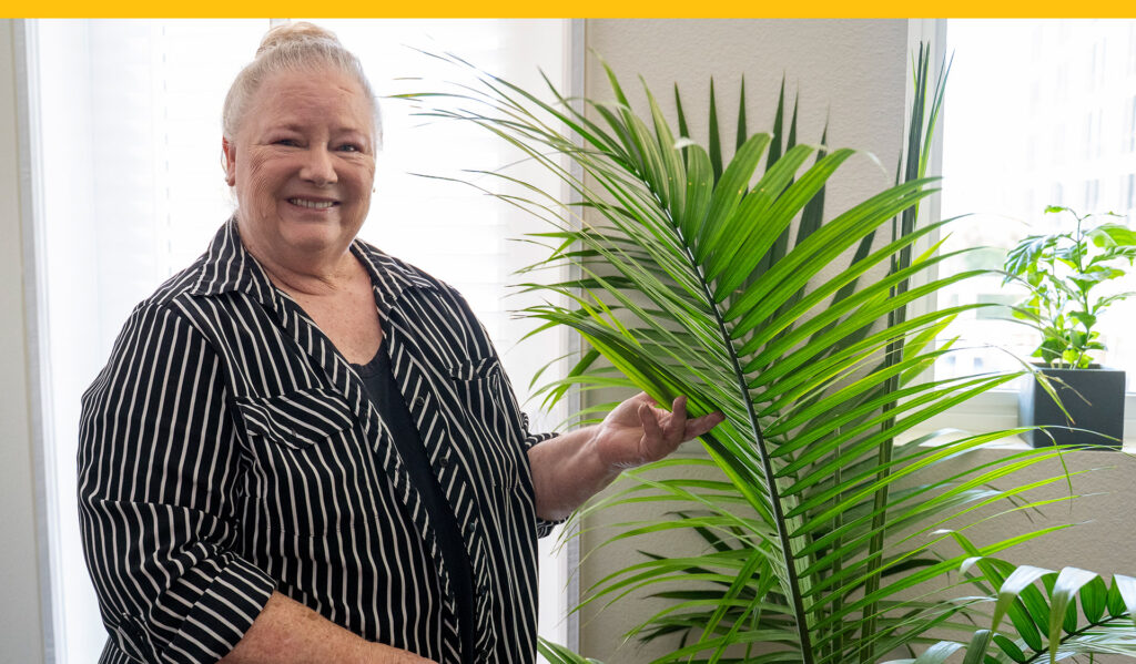 FY25 AR About Us Purpose 3