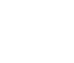 White House Money Icon
